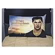 Twilight Breaking Dawn Part 2 Jacob Pillow Case